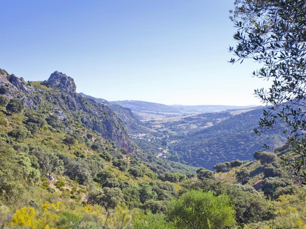 Hotel Rural Molino Del Puente Ronda Eksteriør billede